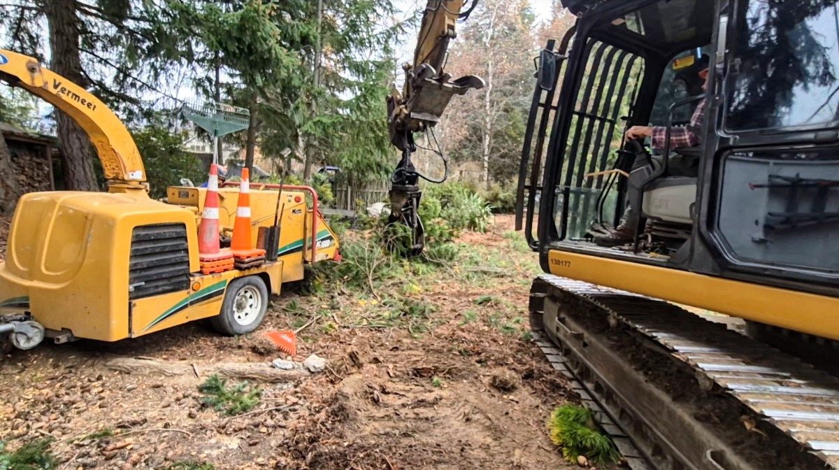 A trailer-mounted wood chipper and an excavator with a grab on a section being cleared