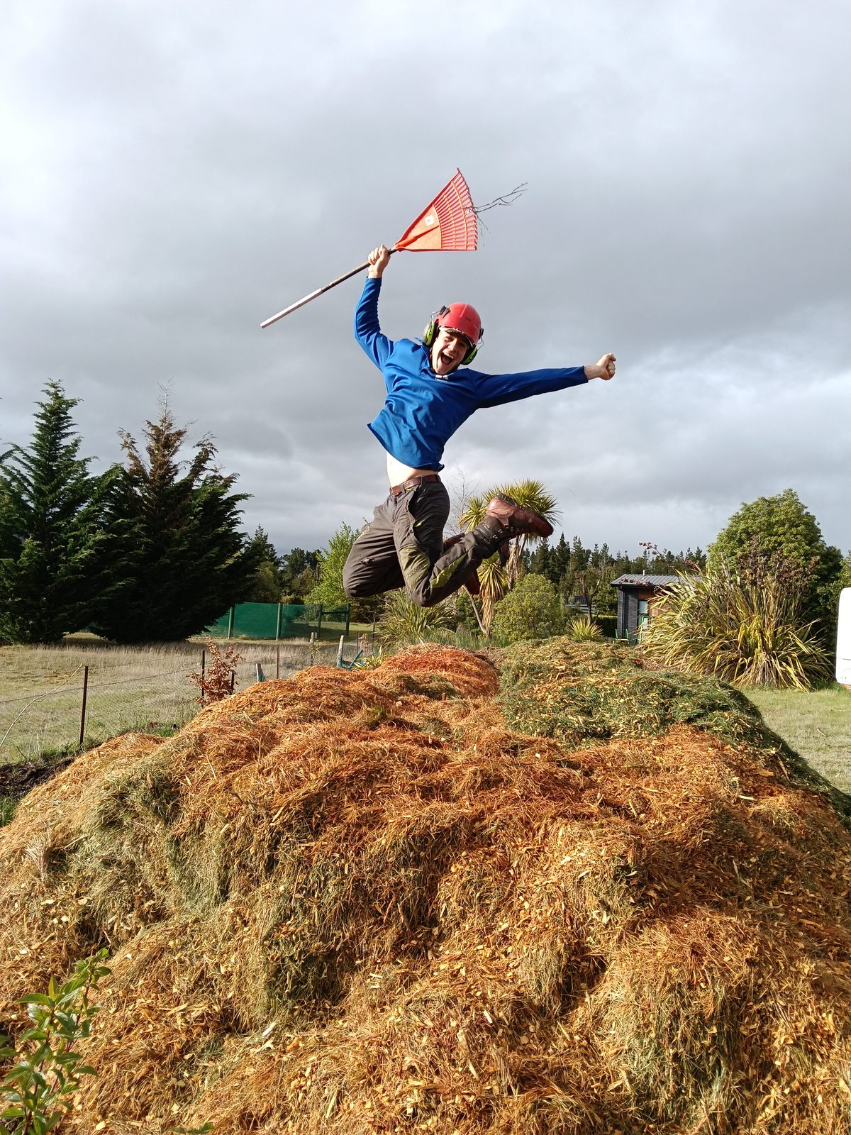 An arborist leaping off a big pile of fresh mulch, rake raised in the air