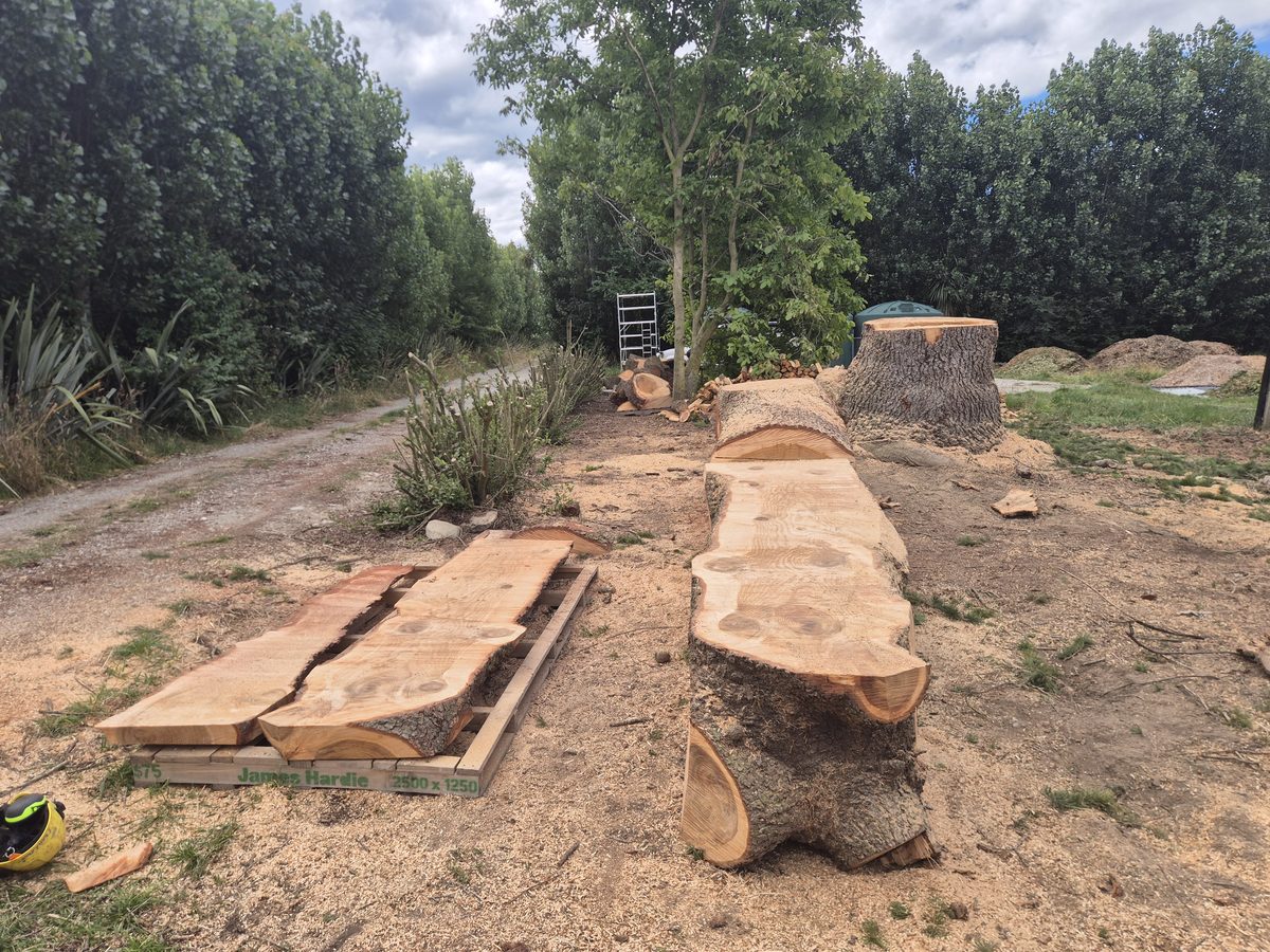 Freshly milled live-edge slabs laid flat on a pallet, a sawn log and a large stump beside them