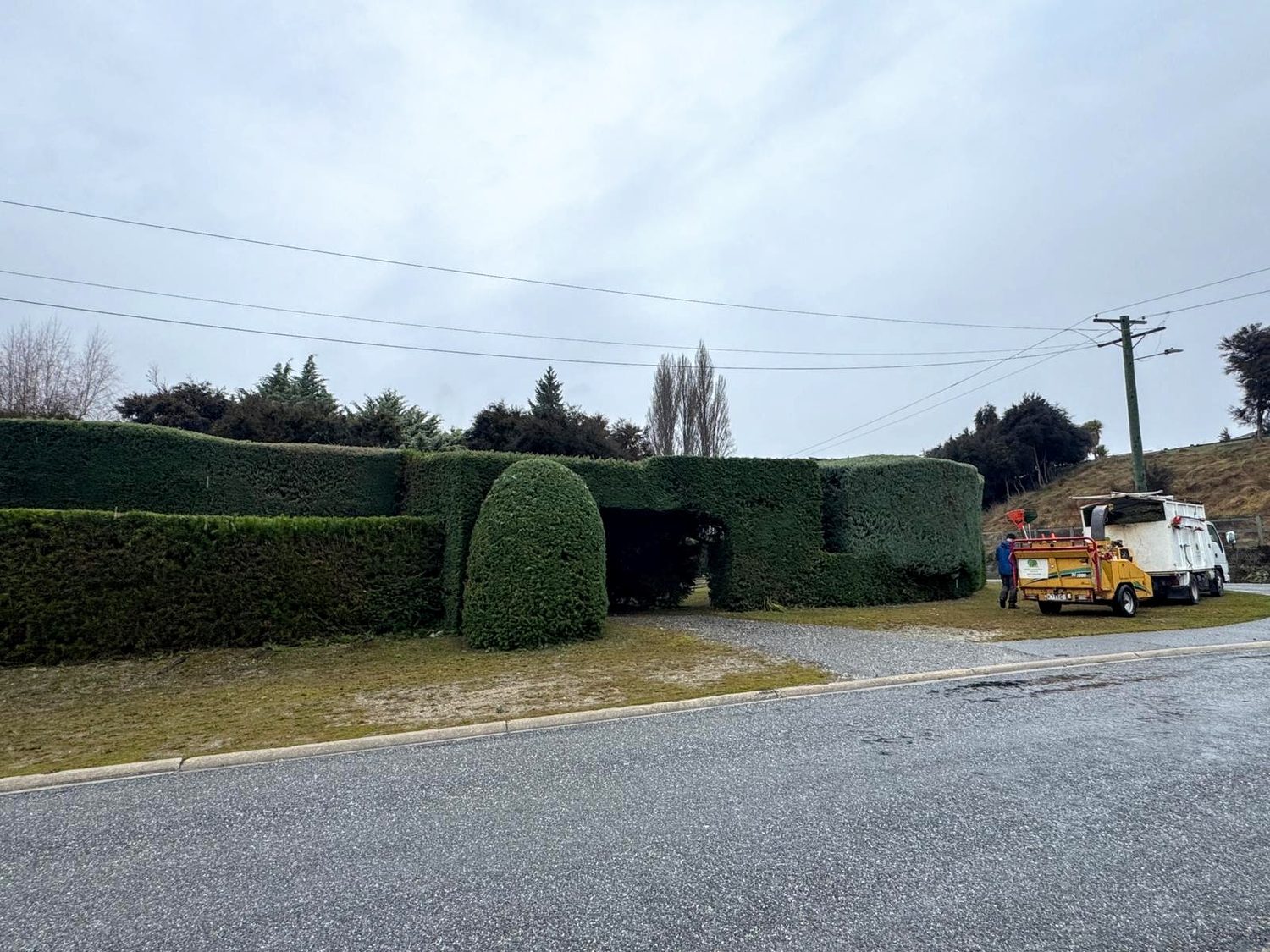A large clipped hedge beside a road, with the wood chipper and truck parked at the end