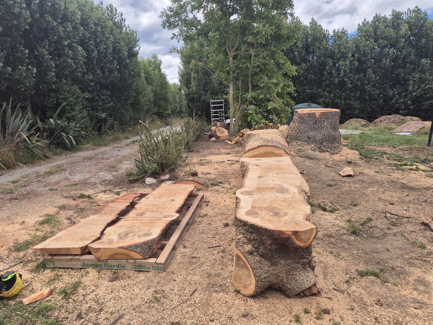 Freshly milled live-edge slabs laid flat on a pallet, a sawn log and a large stump beside them